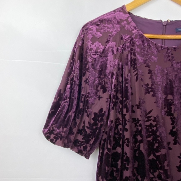 Tommy Hilfiger Women Sz 12 Plum/ Burgundy Dress Velvet A-line knee length crew - Picture 5 of 14